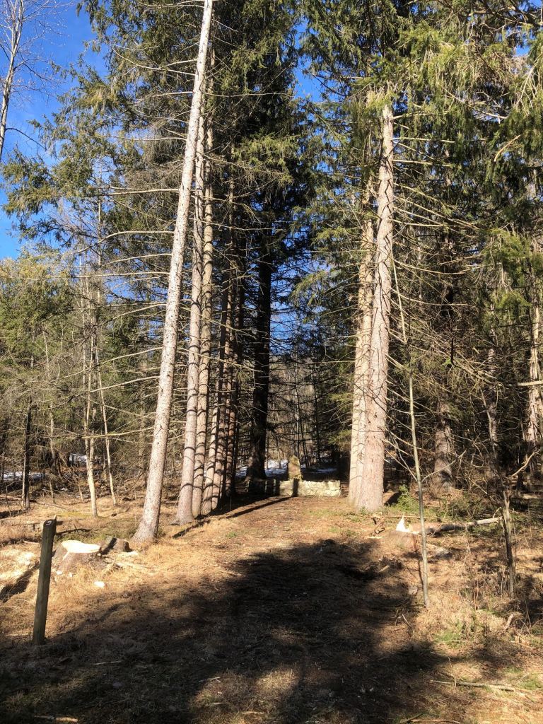 Contemporary view after trees were removed